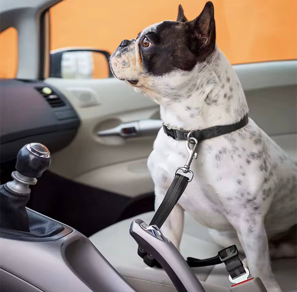 Adjustable Dog Car Seat Belt