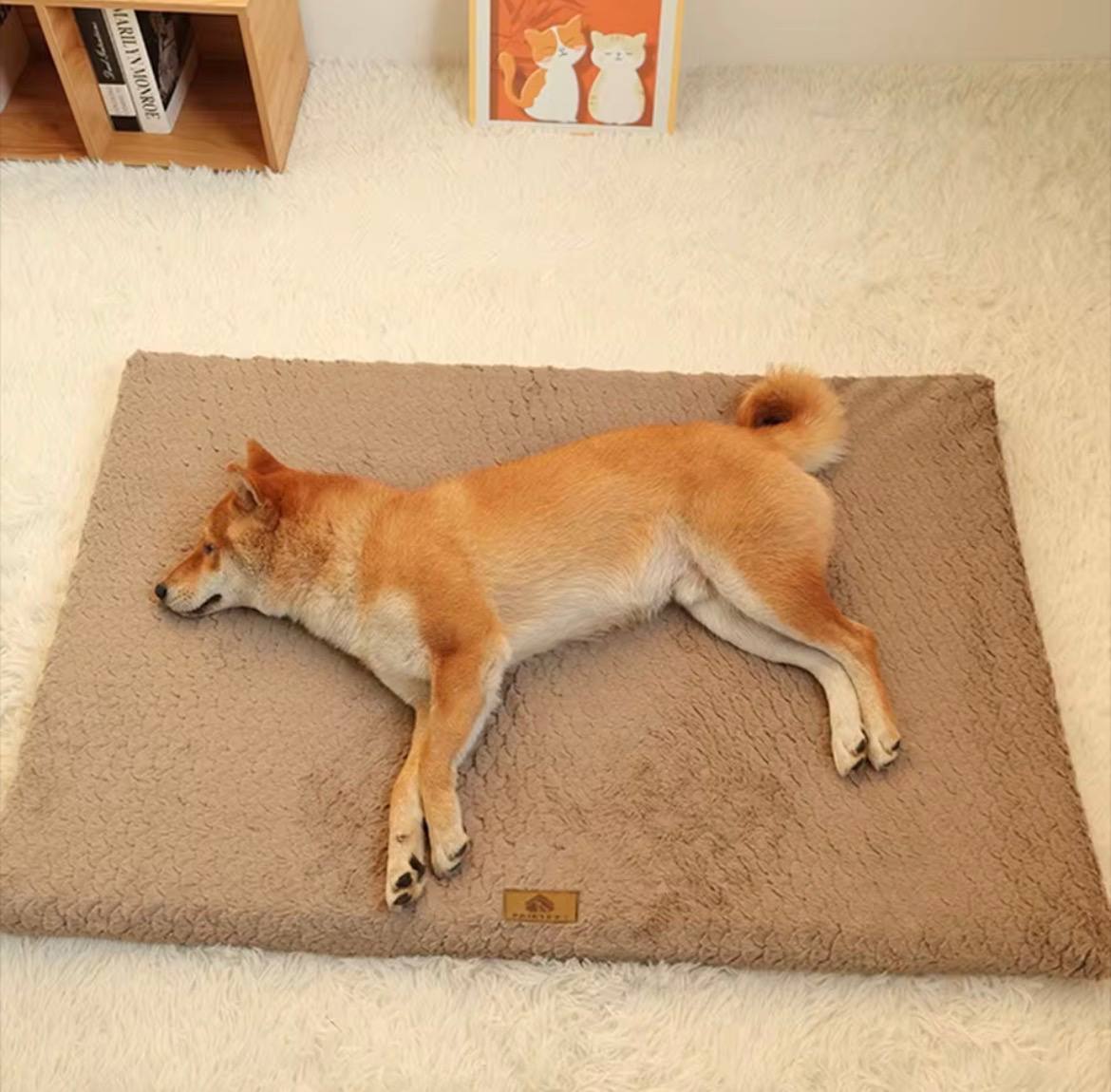 3D Foam Pet Bed