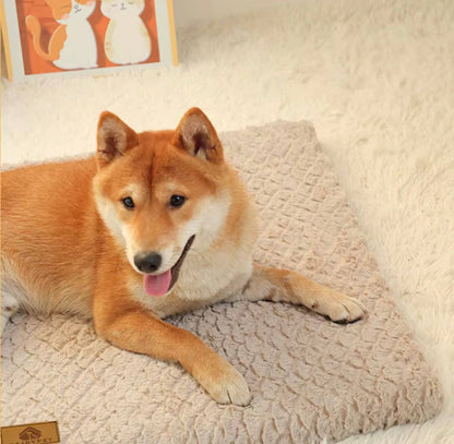 3D Foam Pet Bed